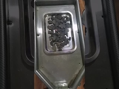 Polygonum multiflorumpoeder